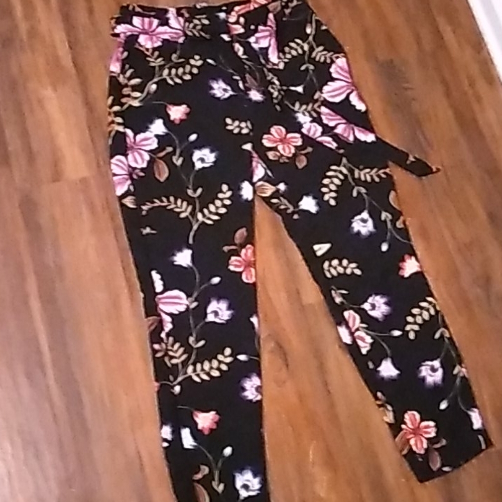Express work pants
